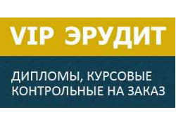 VIP Эрудит