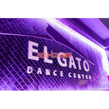 Школа танцев - El Gato Dance Center Школа танцев El Gato Dance Center - на портале eduby.su