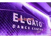 El Gato Dance Center Школа танцев El Gato Dance Center - на портале eduby.su