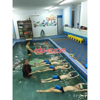 Спортивная школа BabySwim - на портале eduby.su